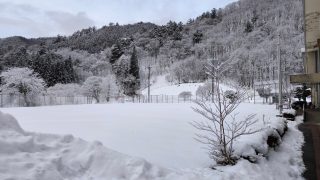 Thumbnail of post image 030