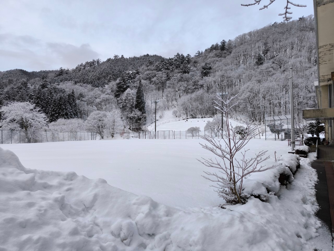 今年もスキーとおっぱらで雪遊びをしました